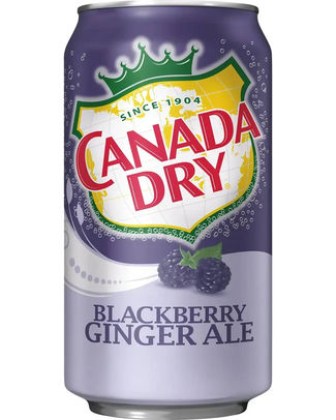 blackberry ginger ale.jpg
